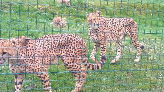 Aachener Tierpark